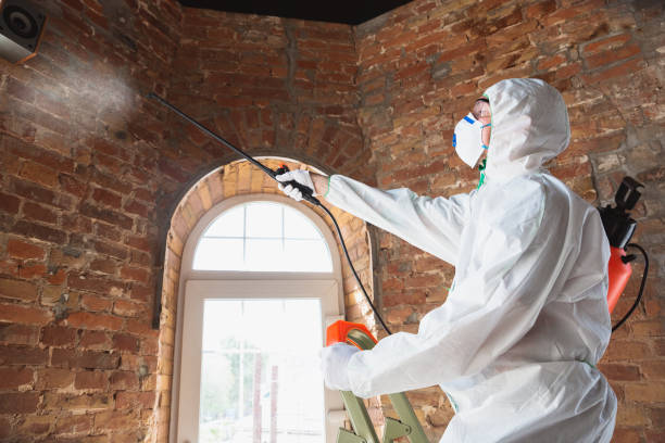 Why You Should Choose Our Mold Remediation Services in Decatur, TN