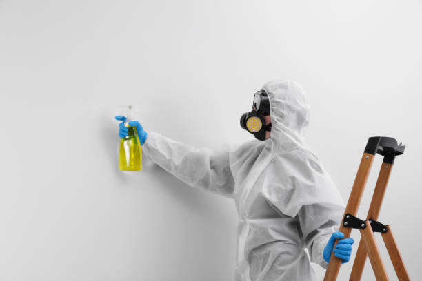 Reliable Decatur, TN Mold Removal Solutions